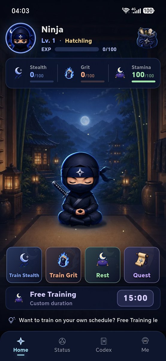Focus Ninja home screen